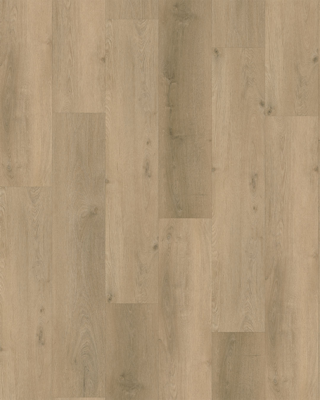 vloer, laminaat, hout, planken, grijstoon
