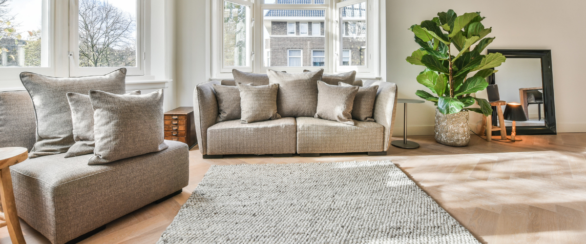 Woondecoratie, Kussen, Woonkamer, Plant, Sofa