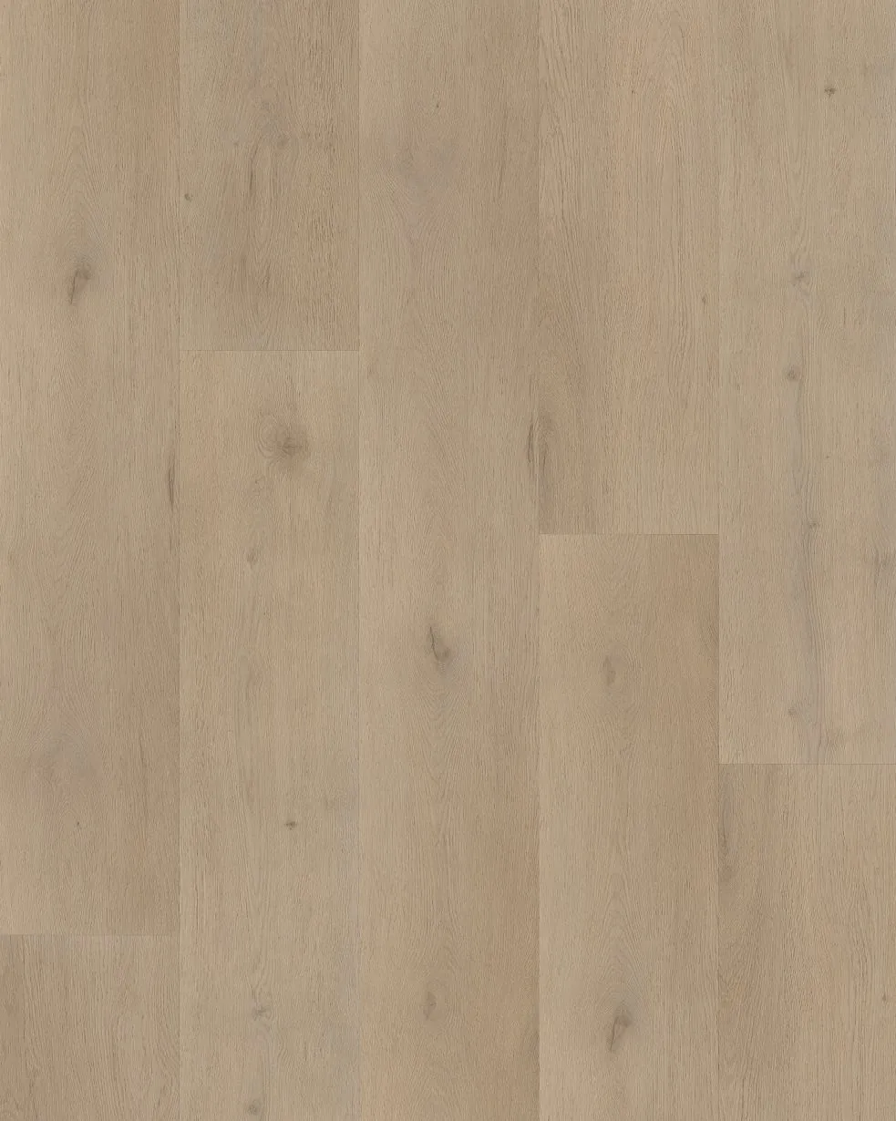 Belakos Traprenovatie Attico 830