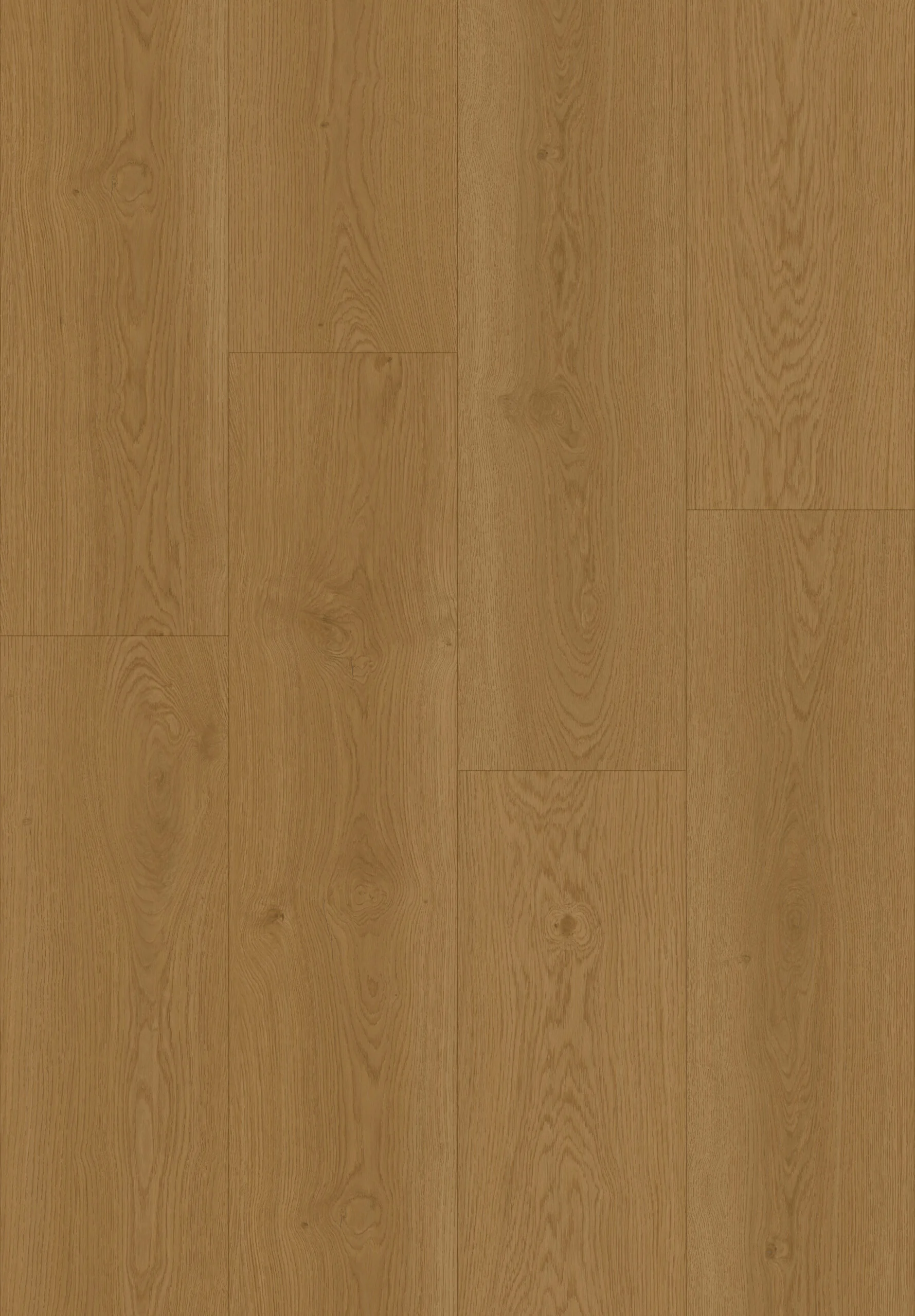Hoomline Elegance Lepelaar 51317