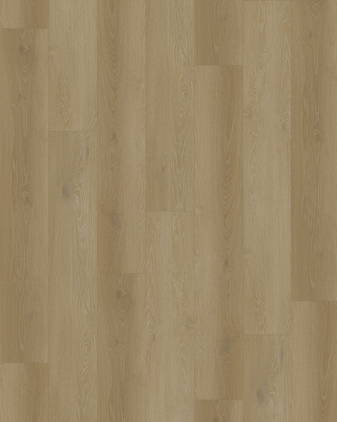 vloer, hout, planken, eiken, kleur