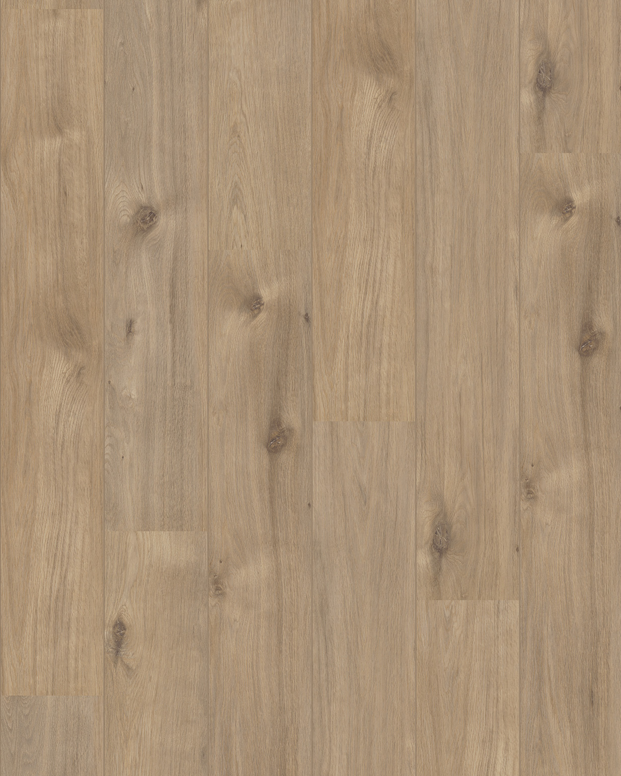 Verdieping, Vloeren, Hout, Hardhout, Interieurontwerp