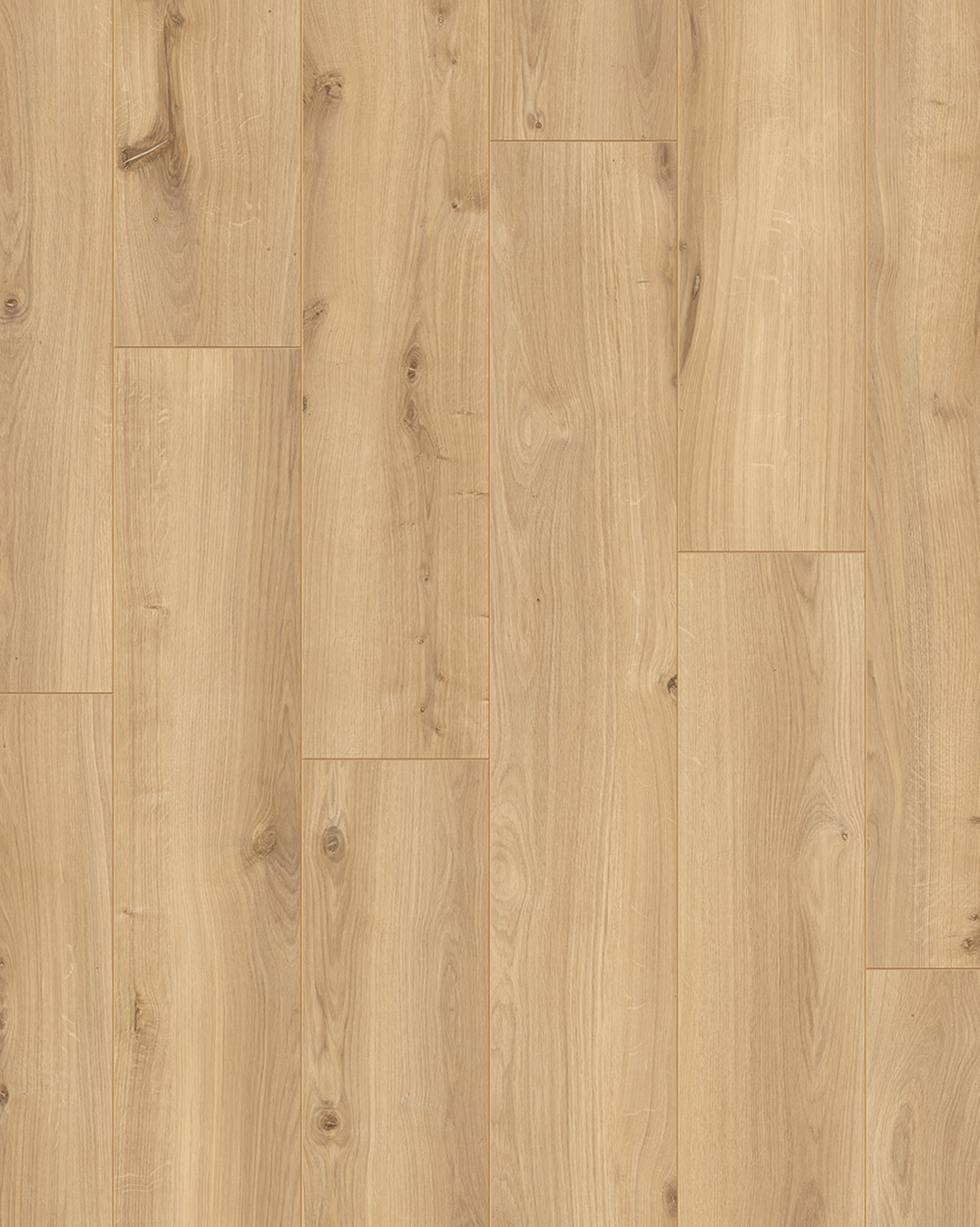 hout, houten plank, vloer, eikenhout, planken