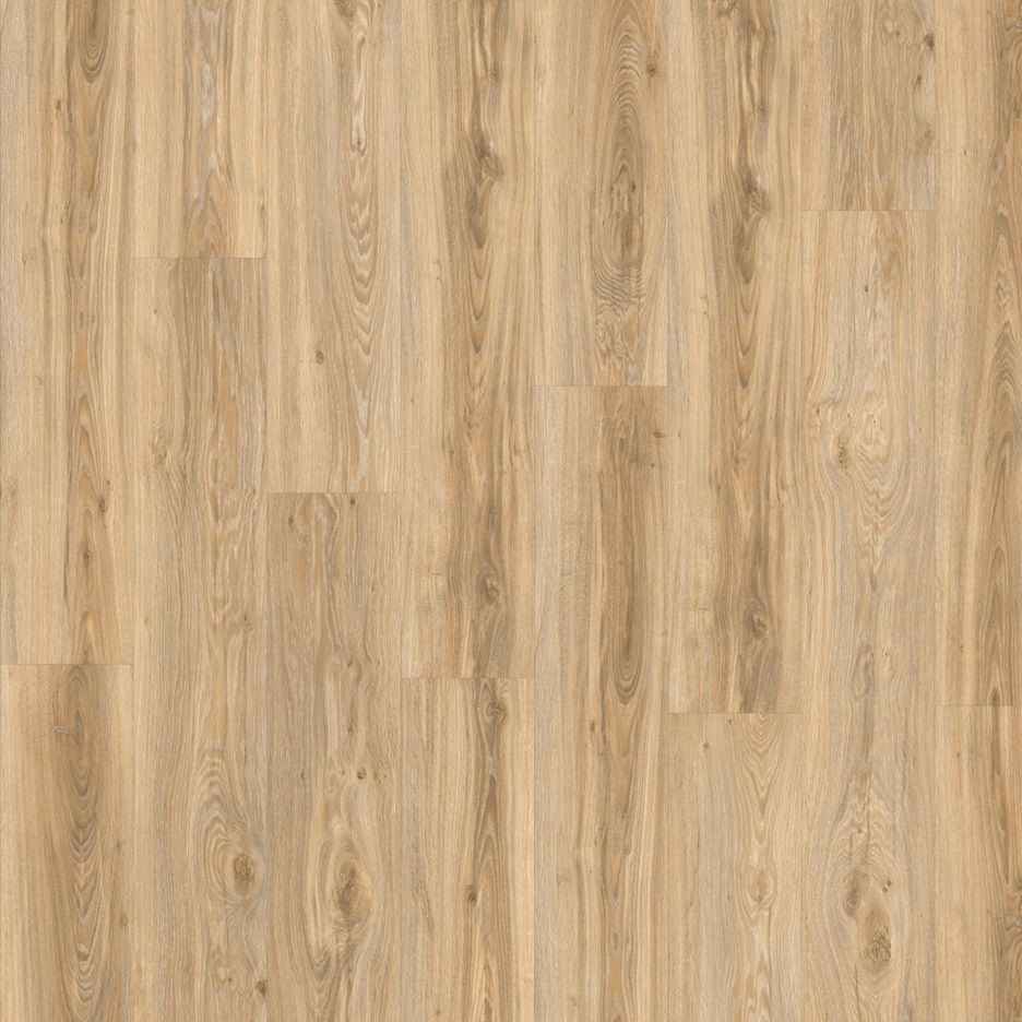 Moduleo Roots Blackjack Oak 22220Q