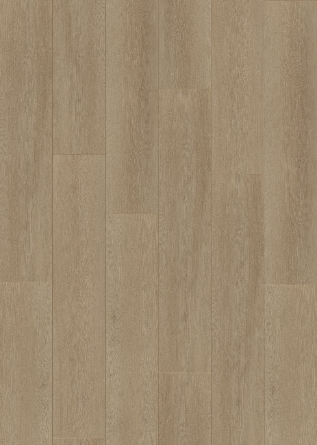 Budget Line Superior Eiken XL 4093 Bratislava Oak