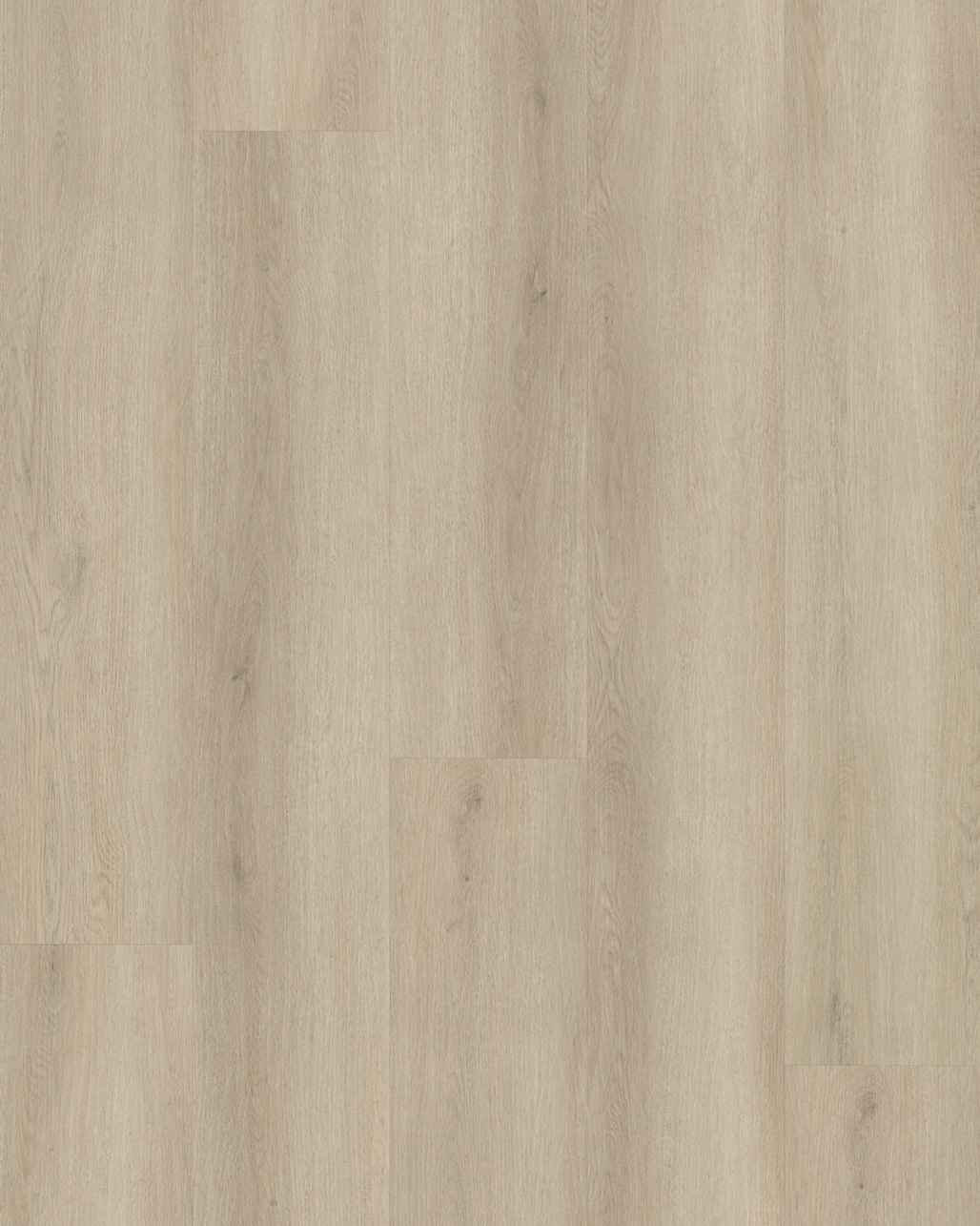 Budget Line Superior Eiken XL 4147 Patra Oak