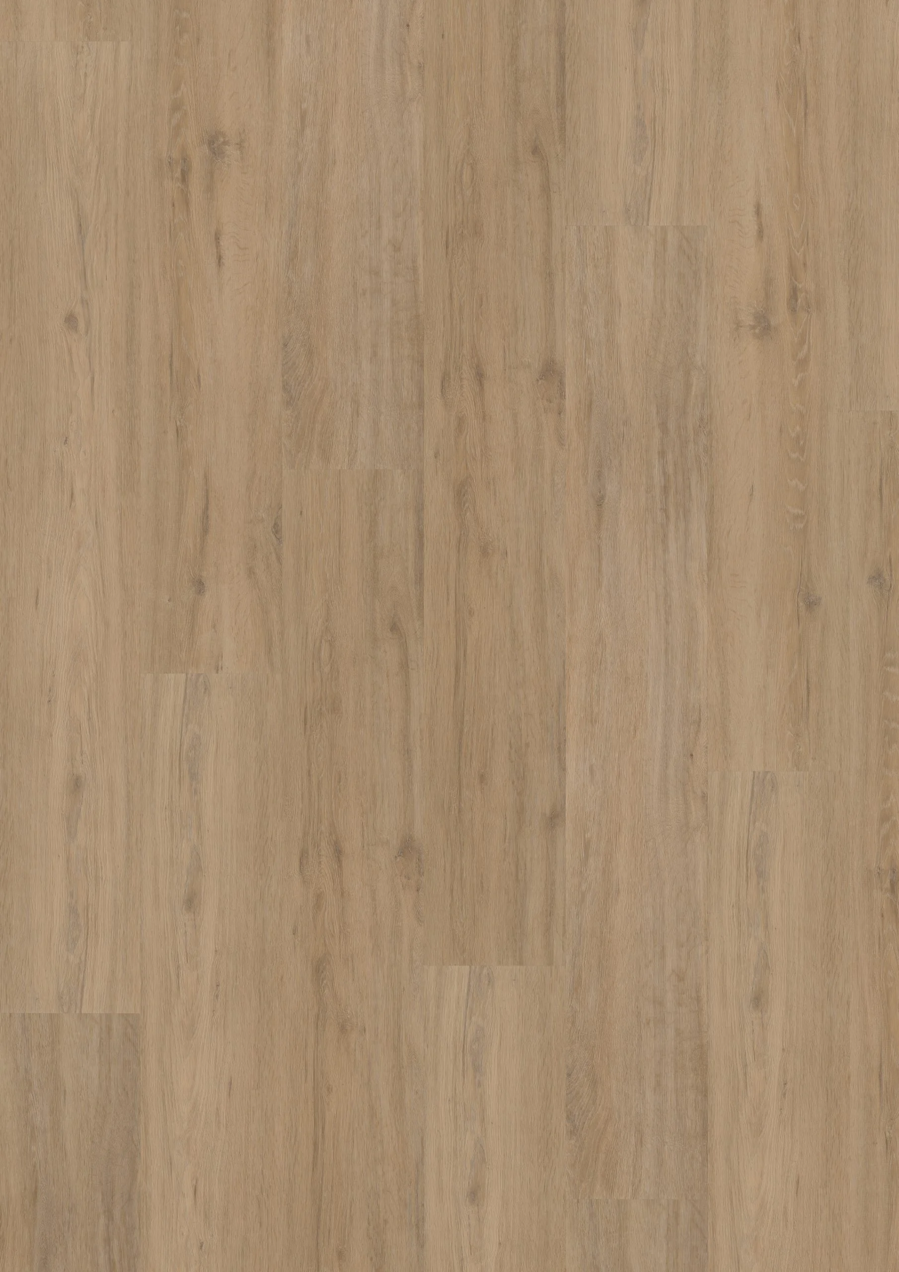 Hoomline Fusion XL 55 Gotham Oak Natural