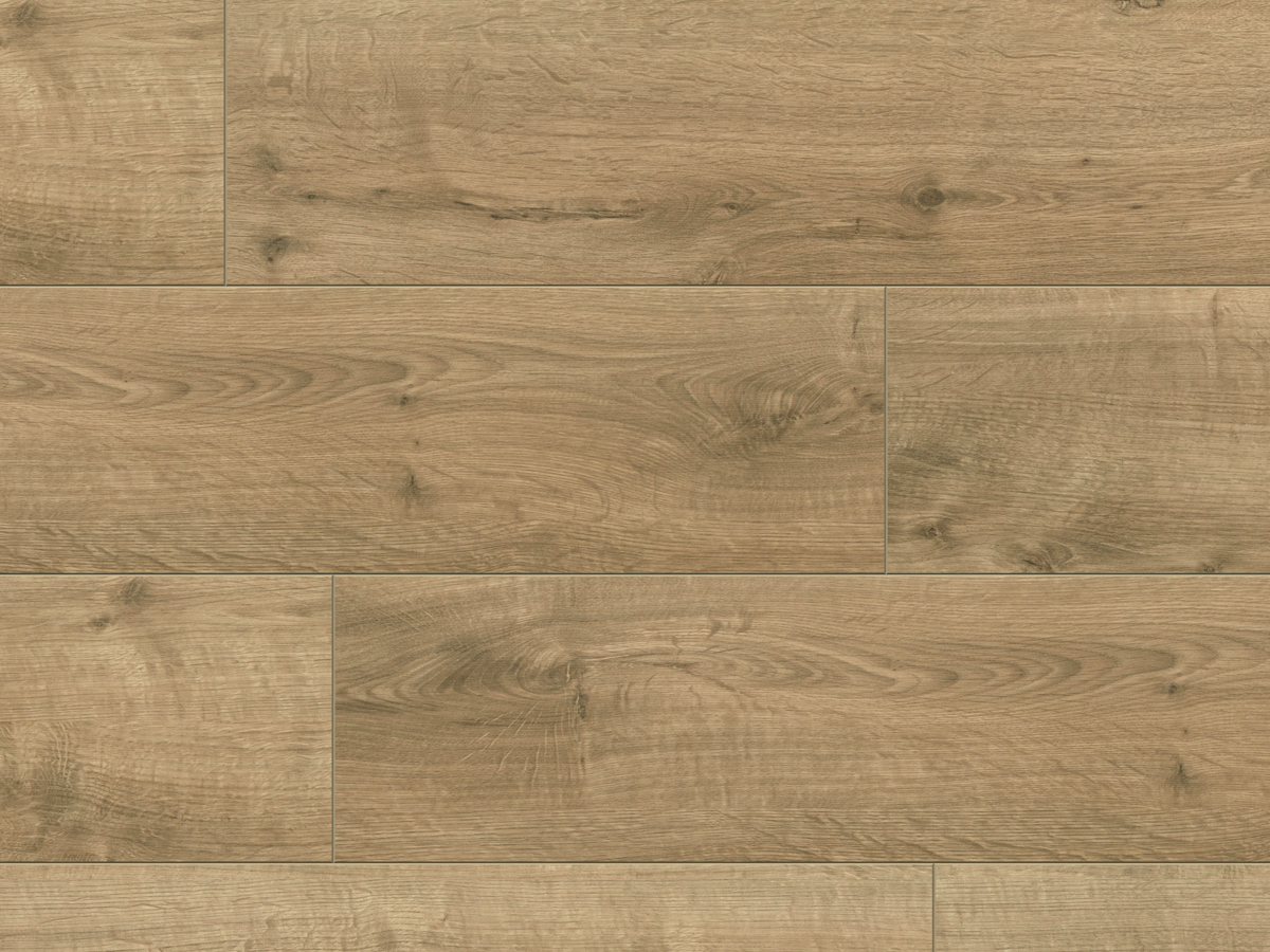 Classen Oak Dark Brown XL  55819