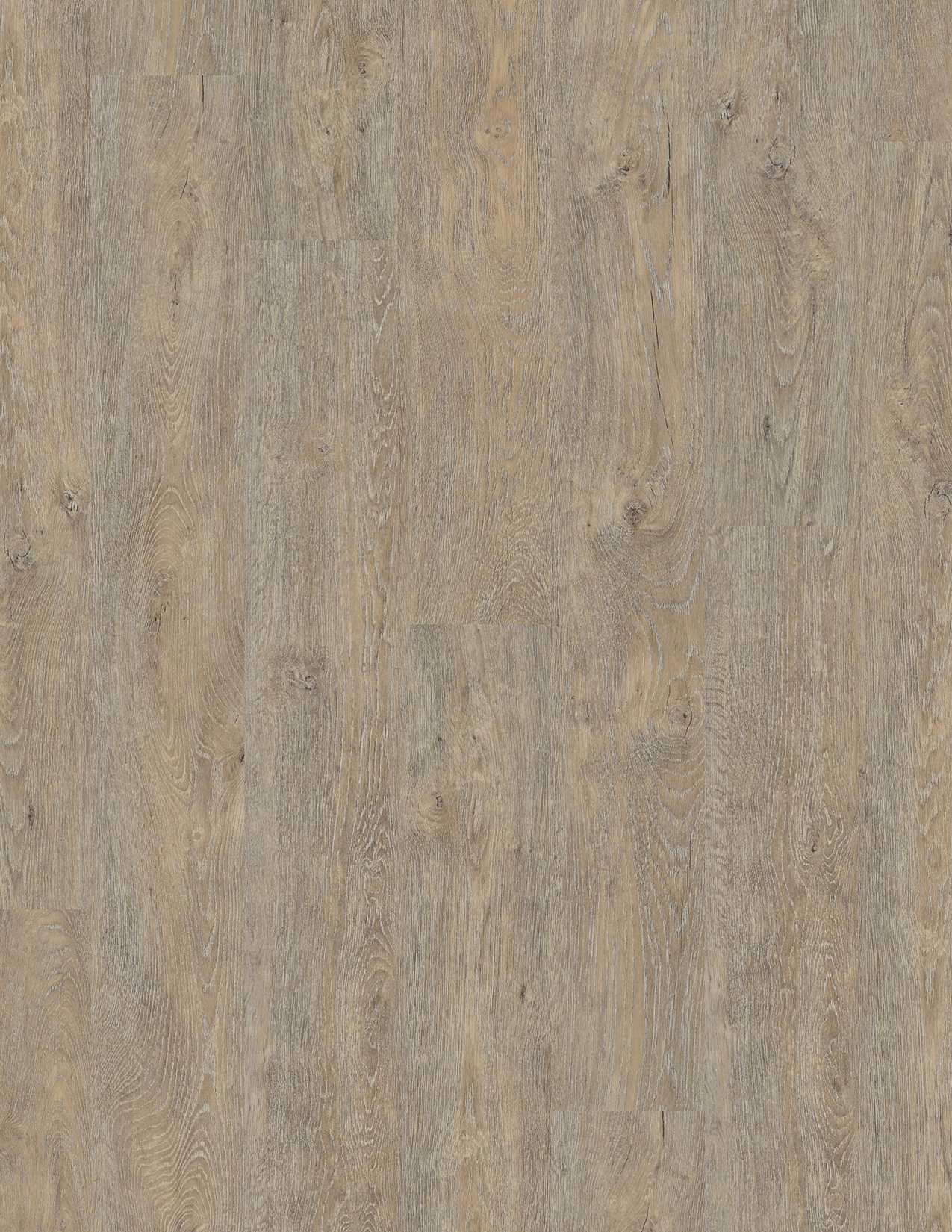 COREtec Essentials 1500 Series Wind River Oak 06 kopen? | Luxury Floors