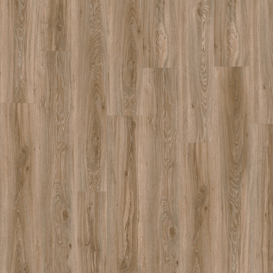 Moduleo Roots Blackjack Oak 22229Q