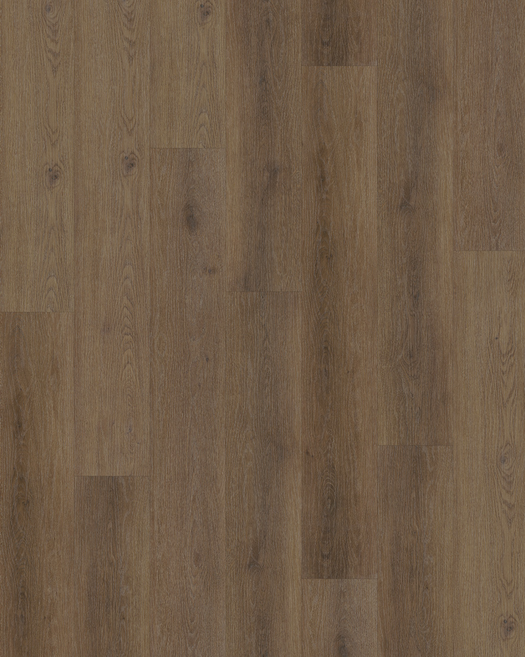 Budget Line Superior Eiken XL 4148 Volos Oak
