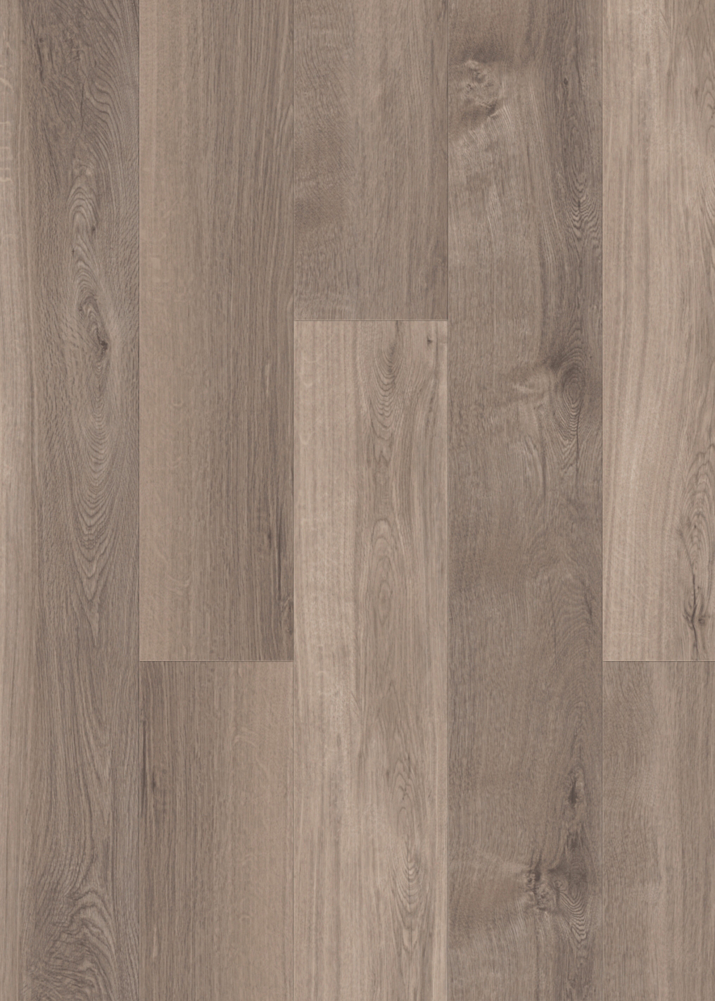 mFLOR Broad Leaf 41817 Smoky Sycamore 