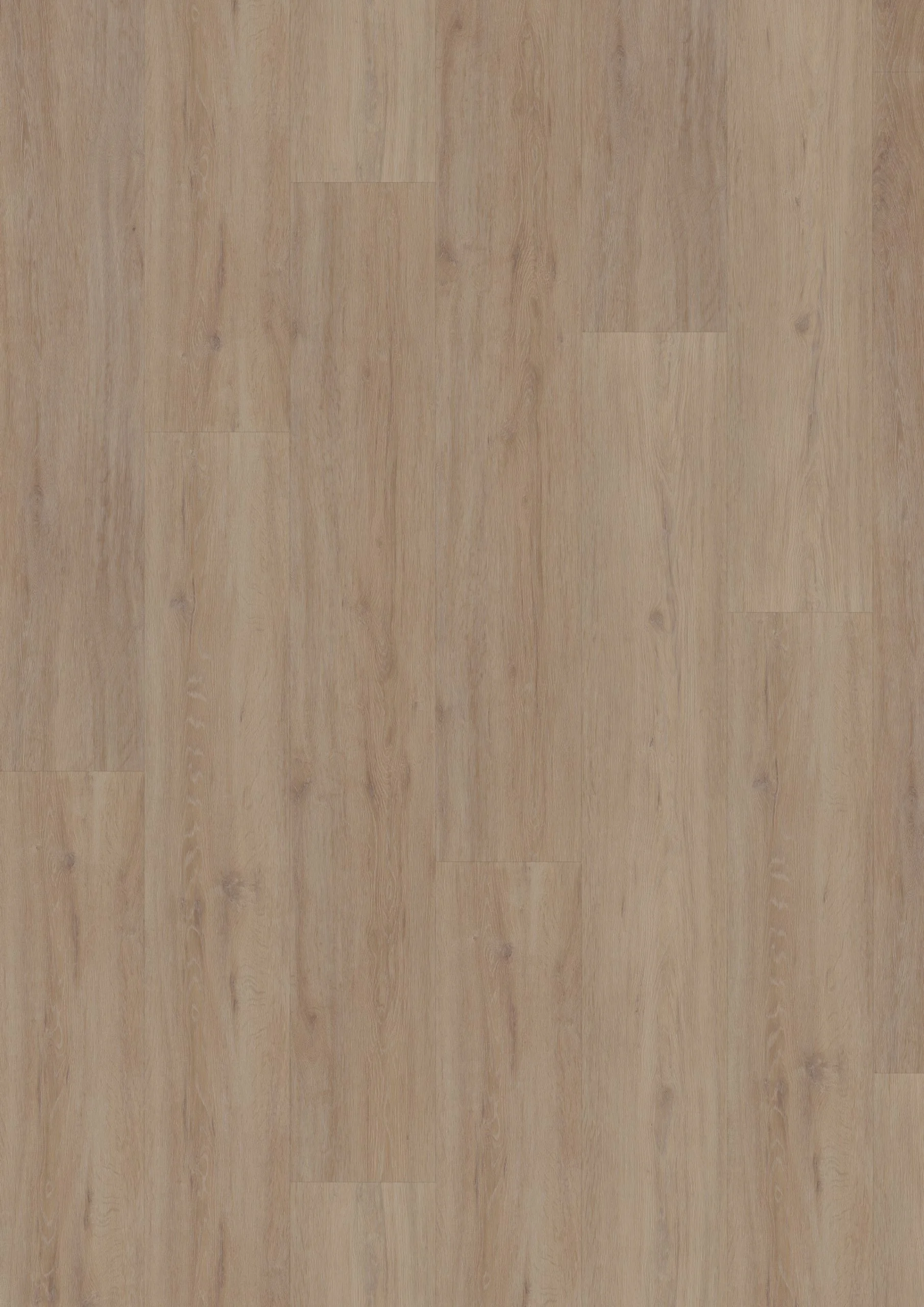 Hoomline Fusion XL 55 Gotham Oak Oiled