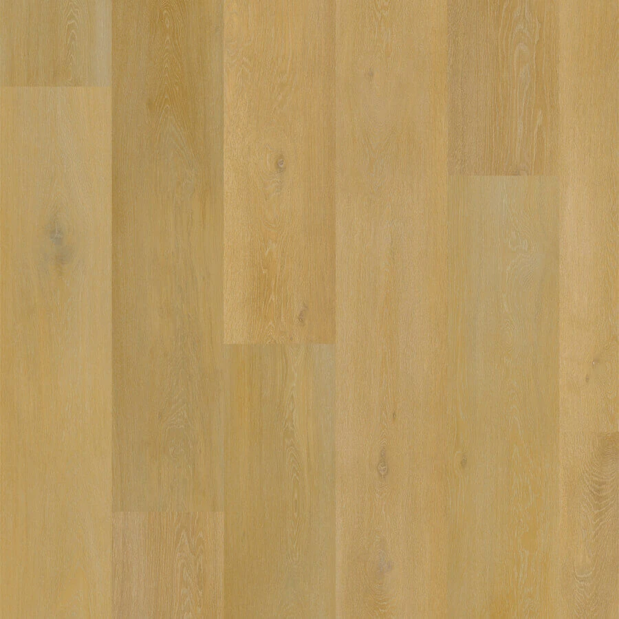 Aspecta Elemental Dryback XL Plank D476539X Iconic Oak Onega