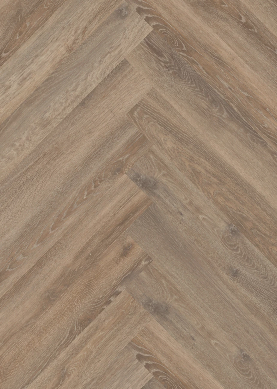 mFLOR Parva Oak 41213 Calabria