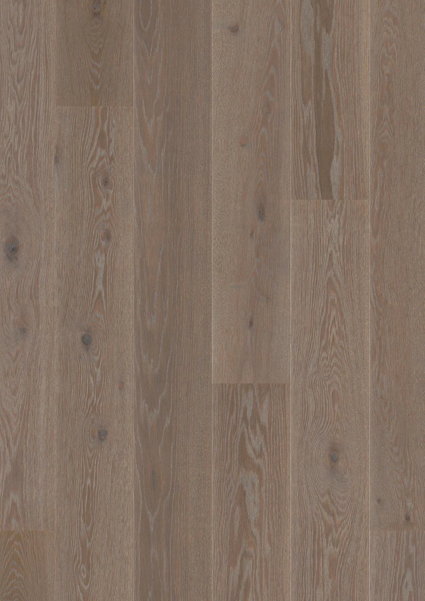 Boen Eik India Grey Animoso 209mm Live Pure Geborsteld 01415