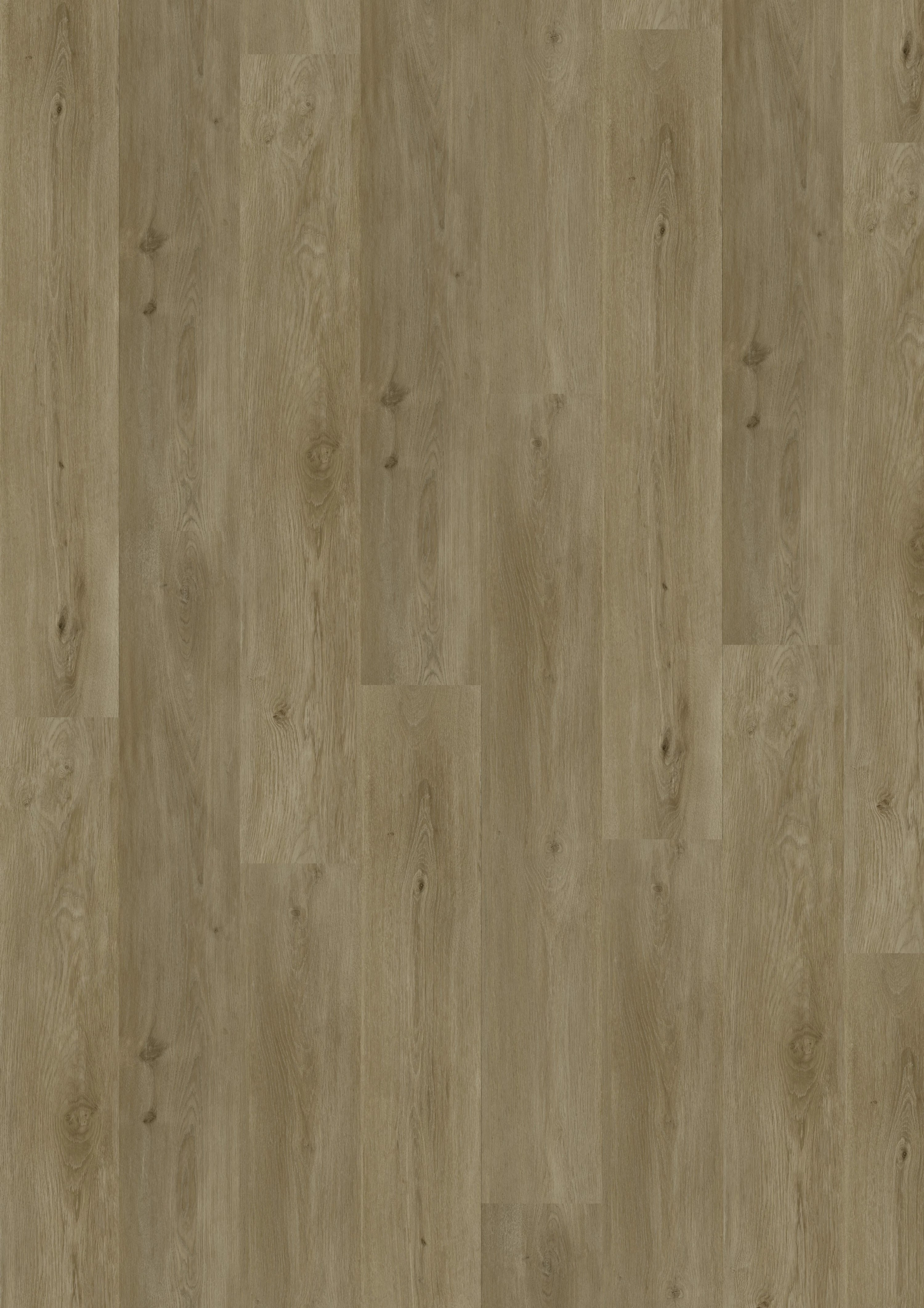 Budget Line Comfort Armidale Oak 4309