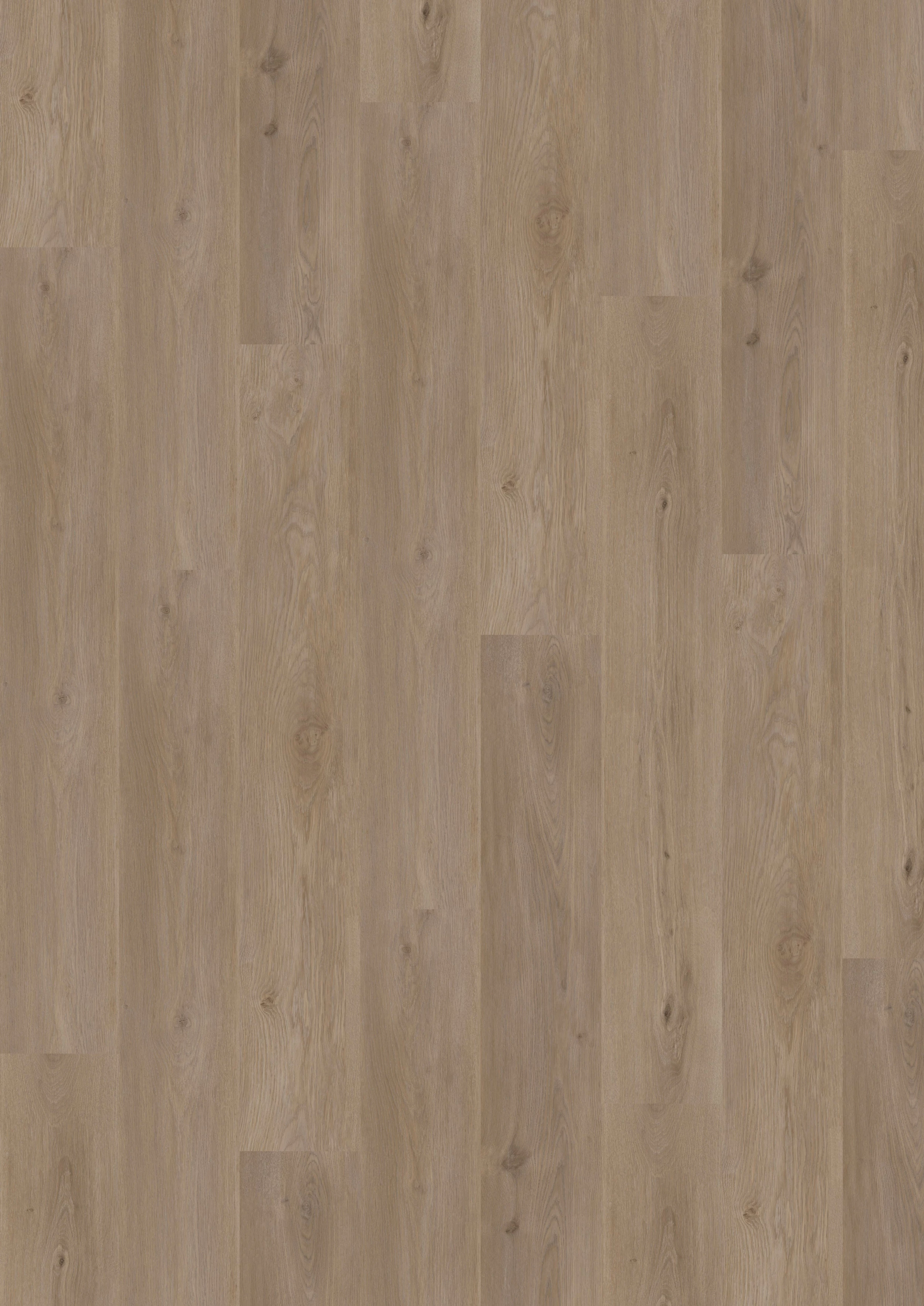 Budget Line Comfort Griffith Oak 4308