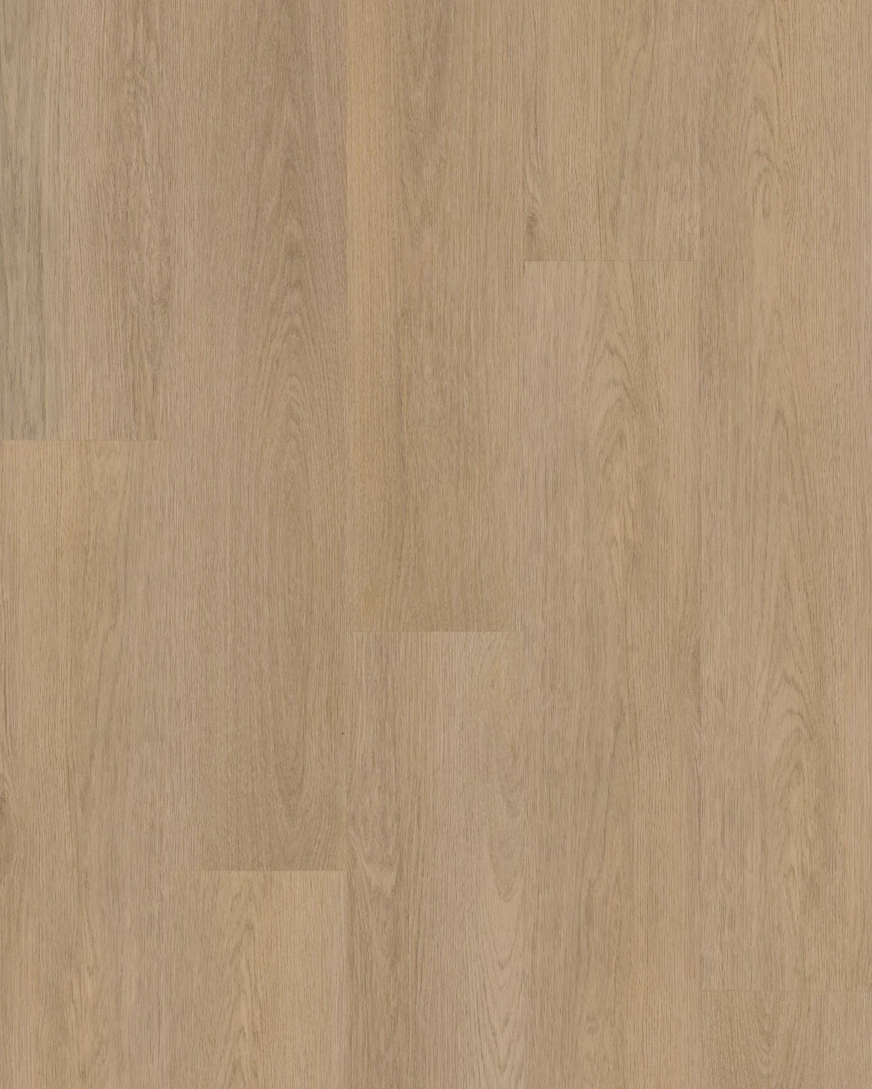 Budget Line Excellent Eiken XL 4085 Eulo Oak 