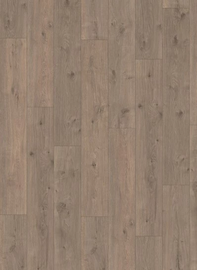 Budget Line Laminaat 2833 Grijs Eiken 