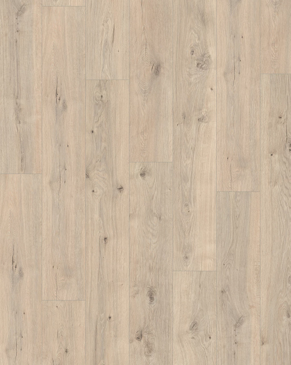 Budget Line Laminaat Tiger Modern Oak 2834