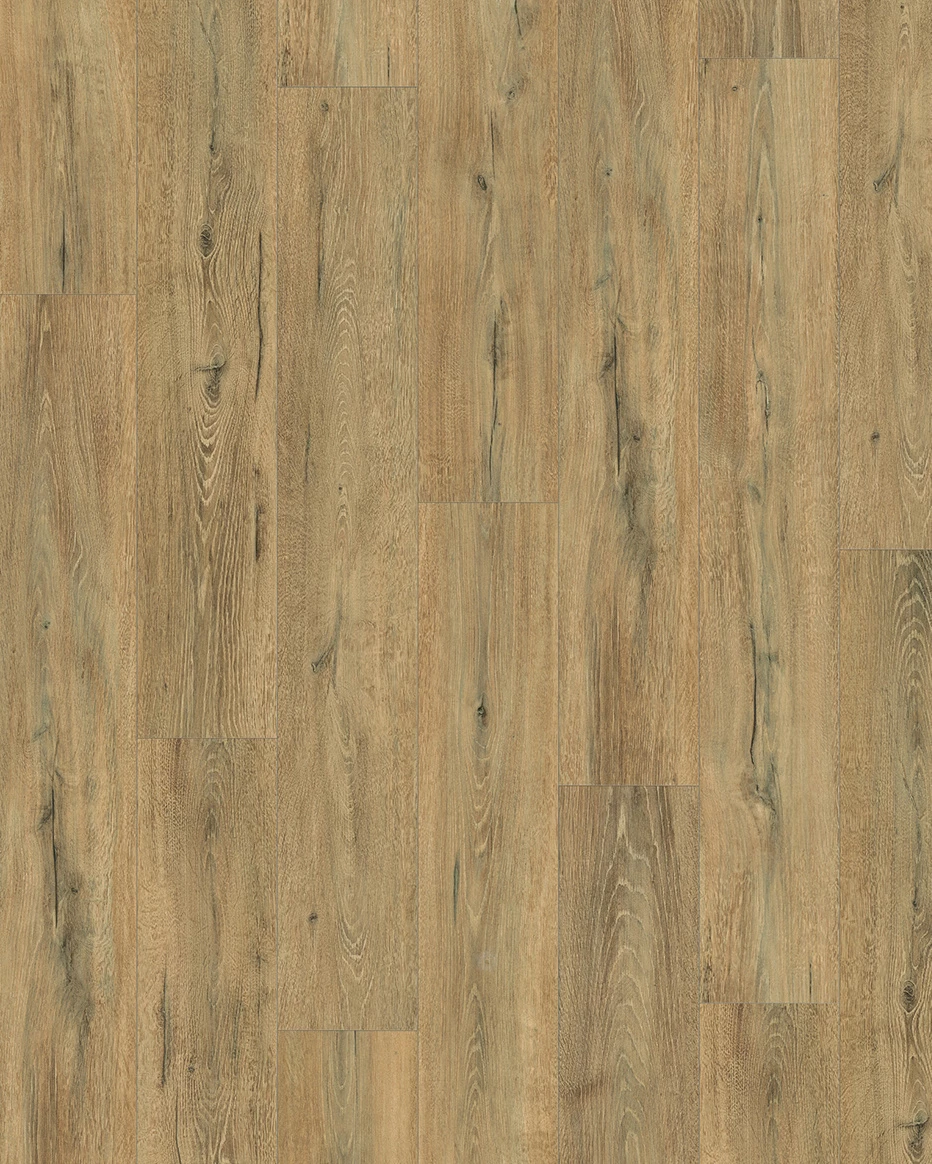 Budget Line Laminaat Tiger Oak Nature 2417