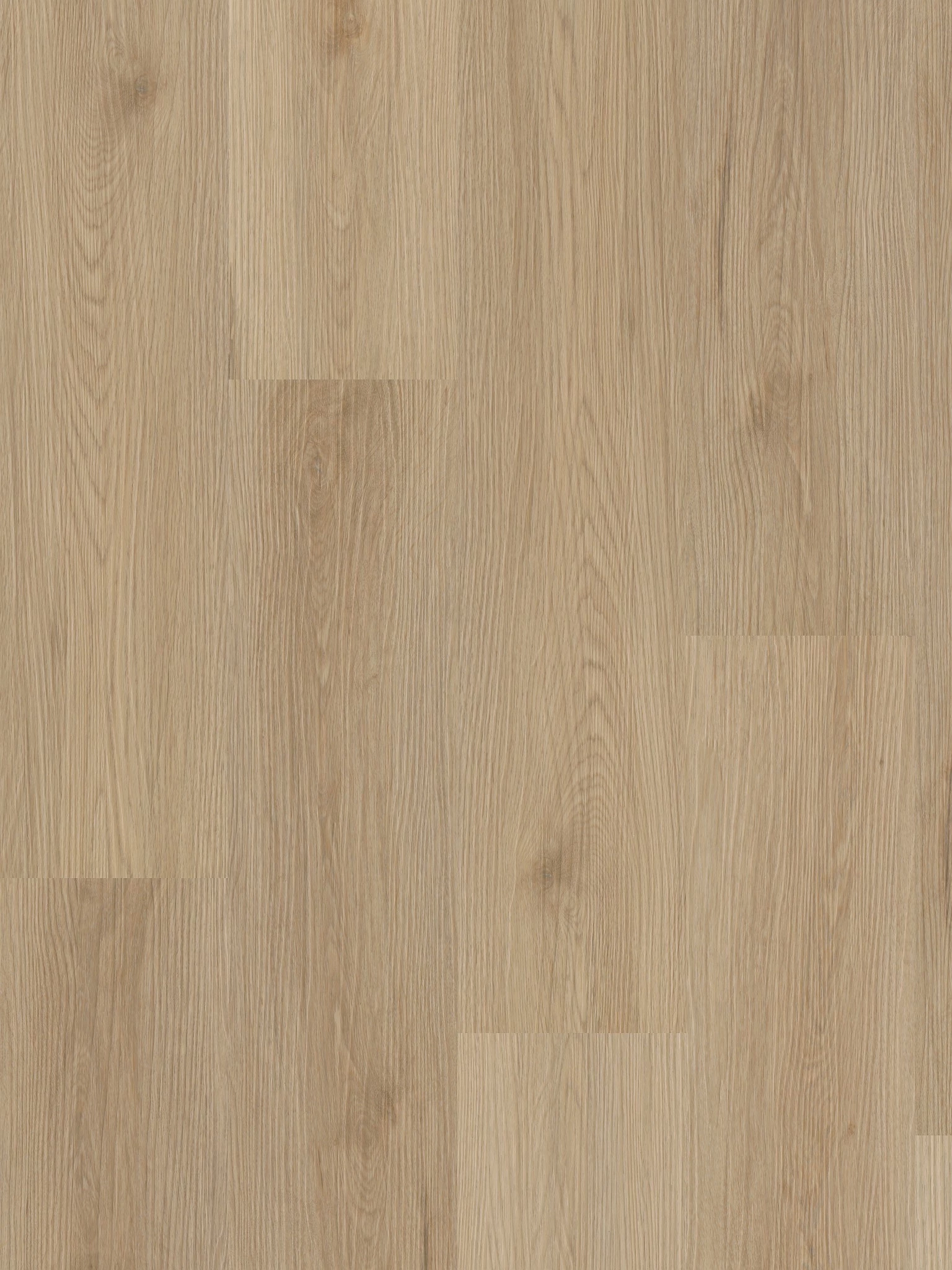 Budget Line Rigid Click PVC 3504 San Antonio Oak 