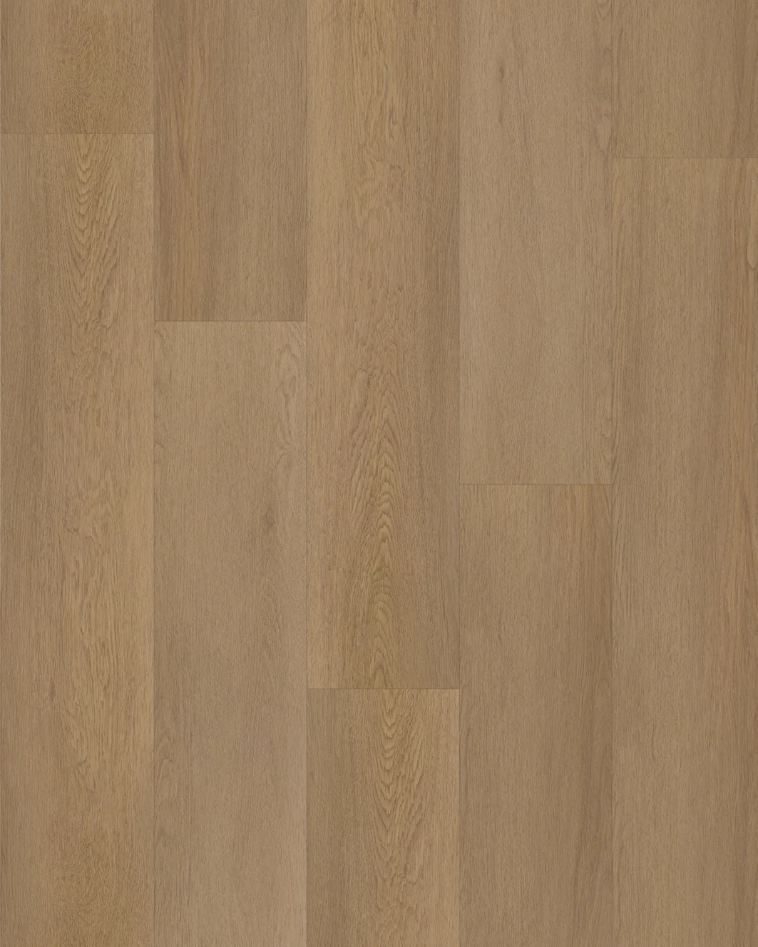 Budget Line Superior Eiken XL 4078 Astana Oak 