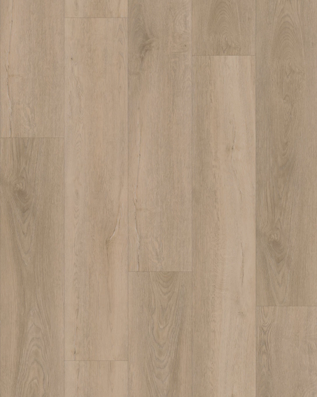 Budget Line Superior Eiken XL 4081 Kischinau Oak 