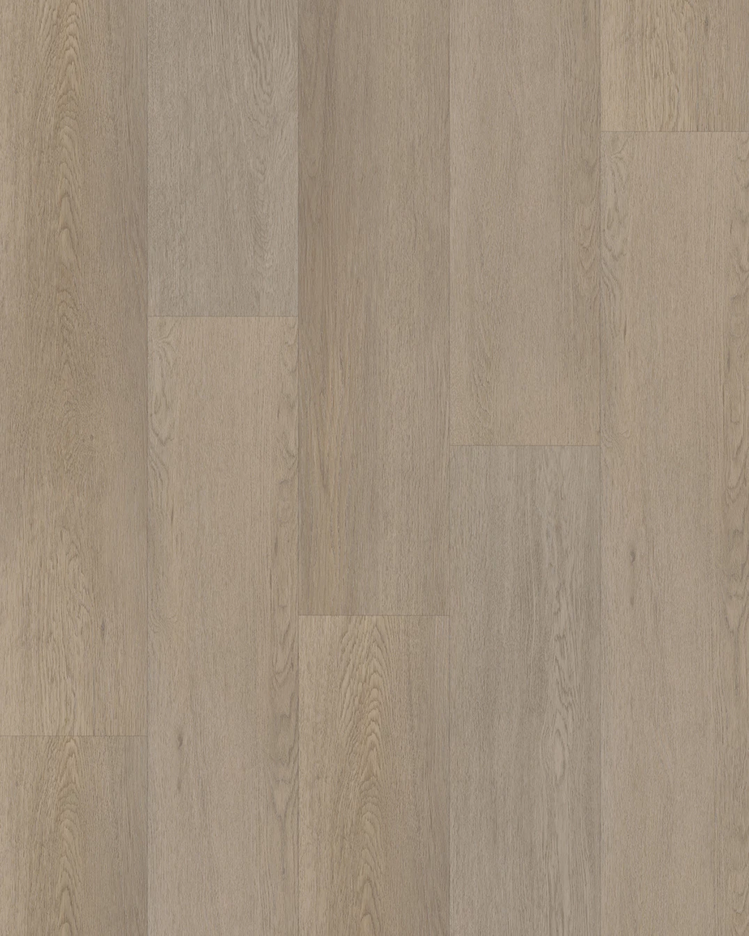 Budget Line Superior Eiken XL 4082 Riga Oak