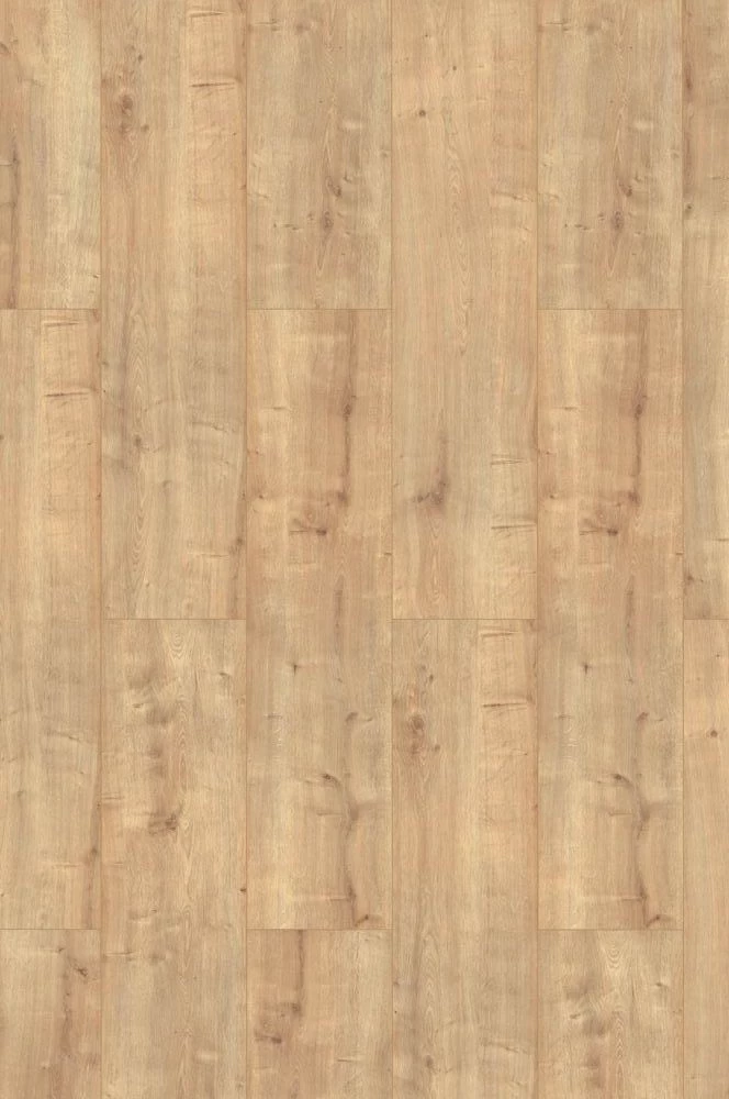 Classen Oak Dark Beige XL 55810