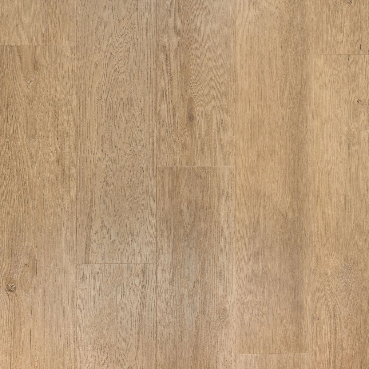 Douwes Dekker Ambitieus Riante Plank Click PVC 04867 Gemberkoek 