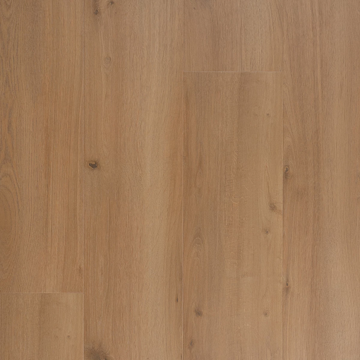 Douwes Dekker Krachtig Solide Brede Plank 04690 Mosterd