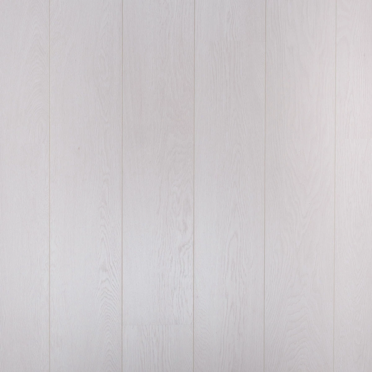Douwes Dekker Opgewekt Plank 05016 Bieslook