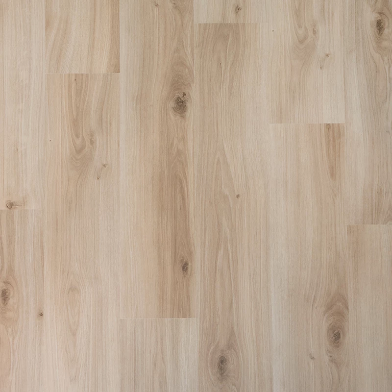 Douwes Dekker Spontaan 04949 Plank Gember