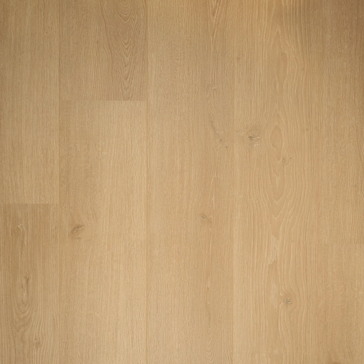 Douwes Dekker Sympathiek Brede Plank 05037 Kamille
