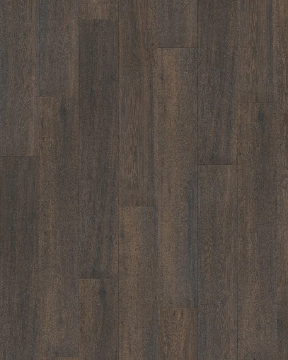 Hoomline Elite Classic V4 6066 Tara