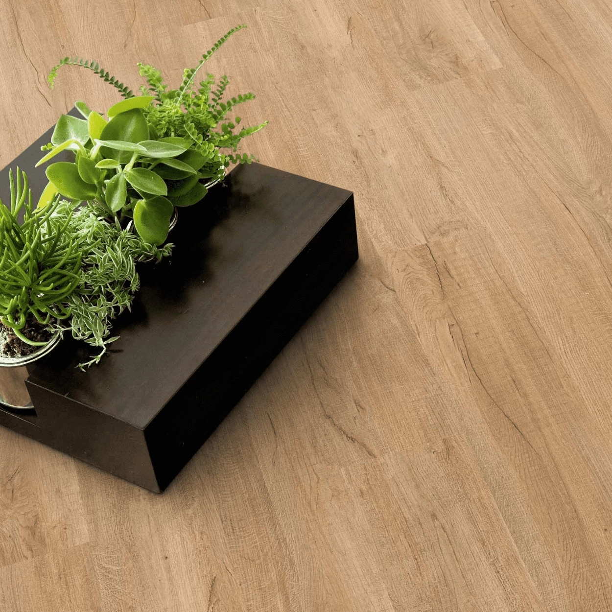 Gerflor Creation 55 Clic Swiss 0796 Oak Golden