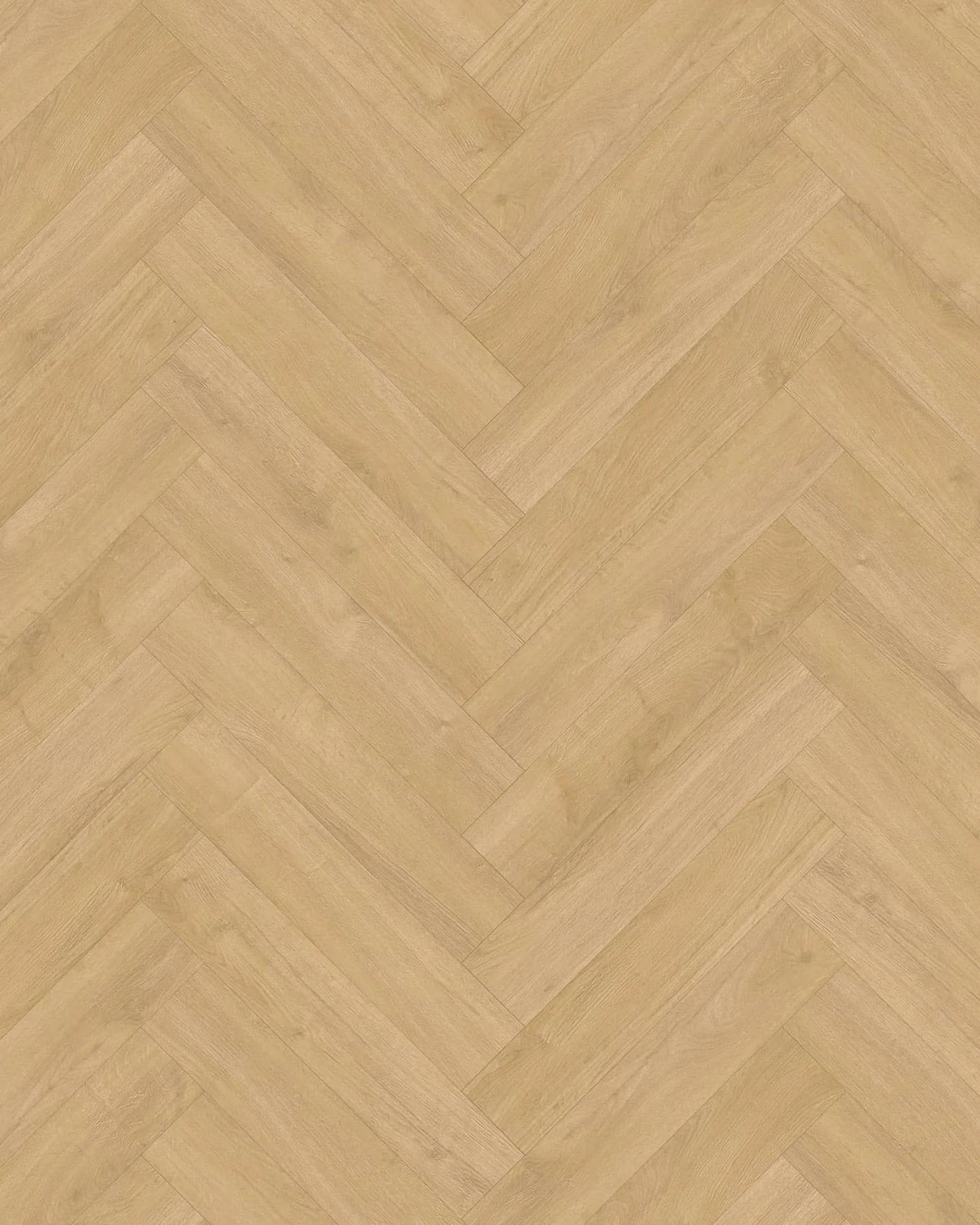 Luxury Floors Visgraat XL Klik Catwijch Eik
