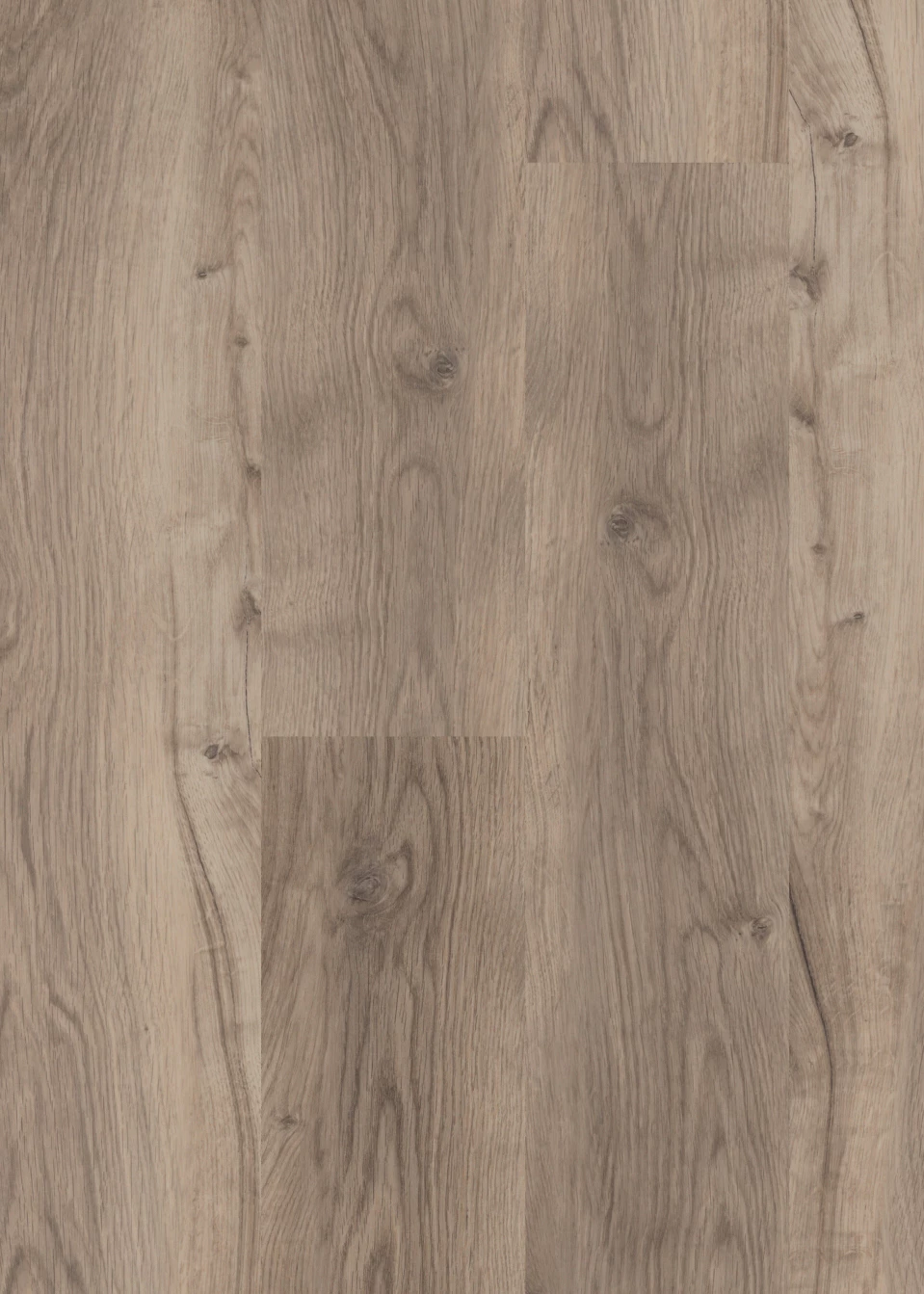 mFLOR Bramber Chestnut 81611 Miglio 