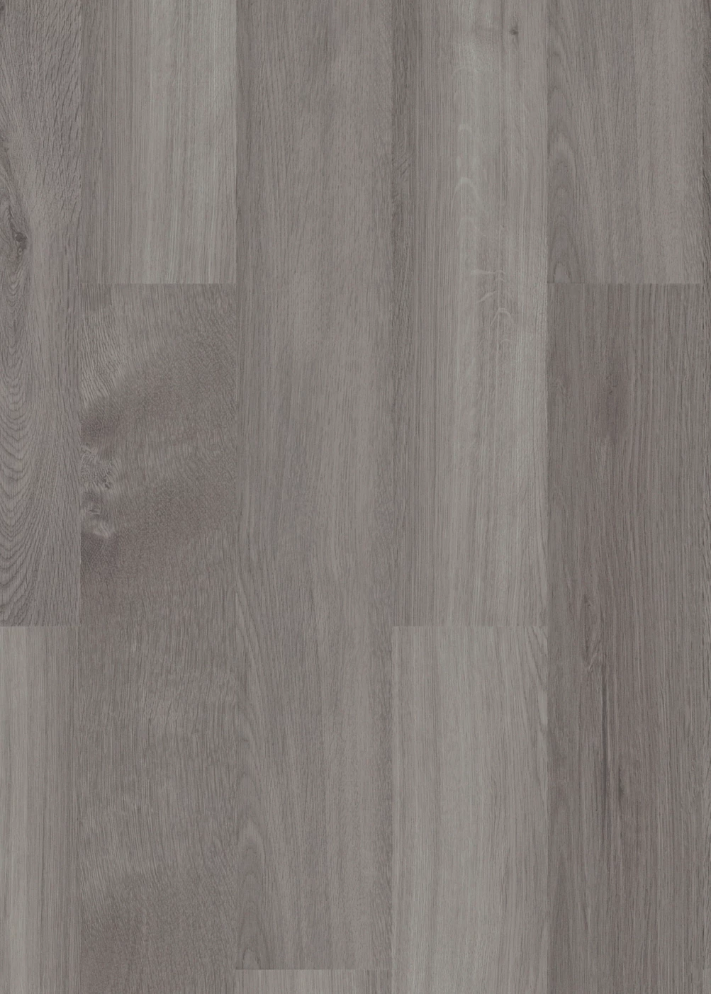 mFLOR Broad Leaf 41828 Grey Sycamore 