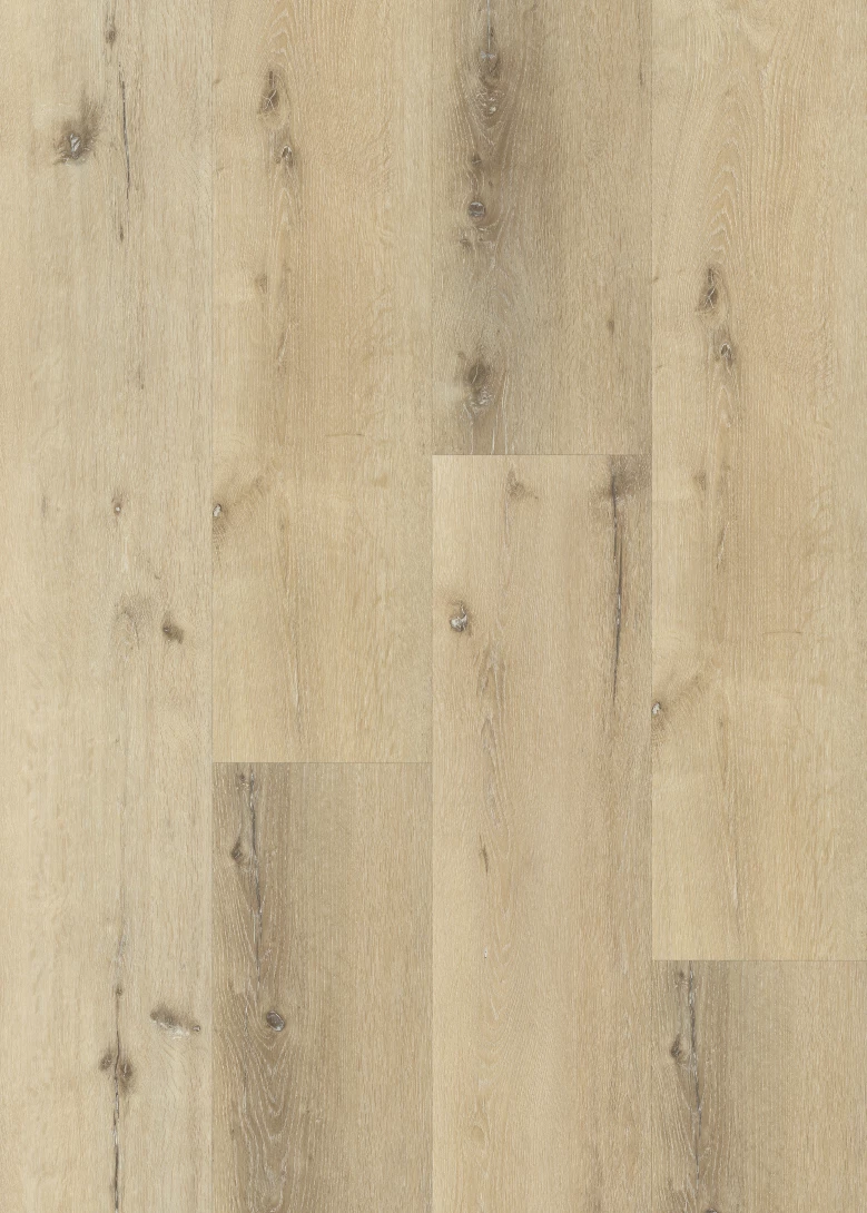 Belakos Palazzo Kleur 150