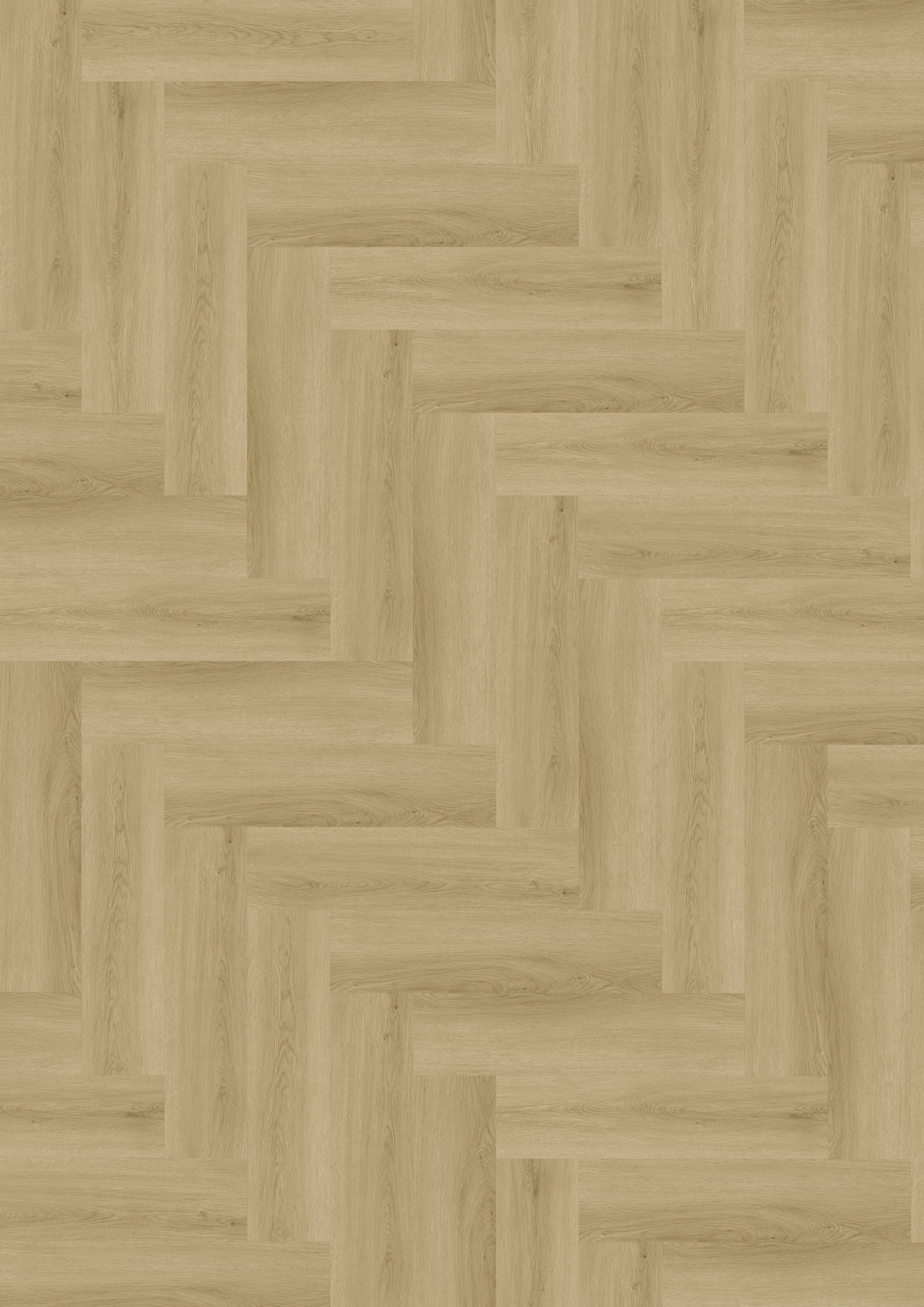 Budget Line Premium Visgraat XL 4143H Banja Oak