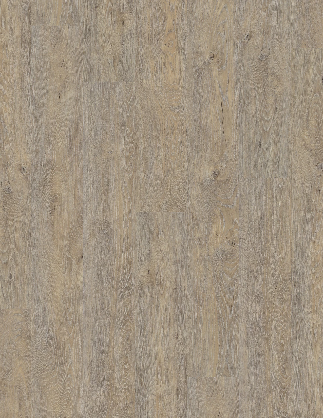 COREtec Essentials 1500 Series Waterton Lakes Oak 04