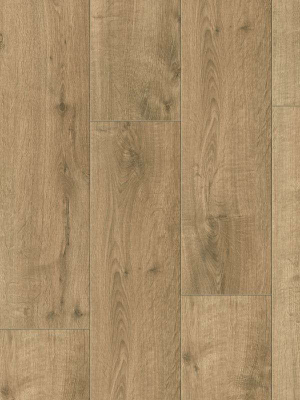 Classen Oak Dark Brown XL  55819